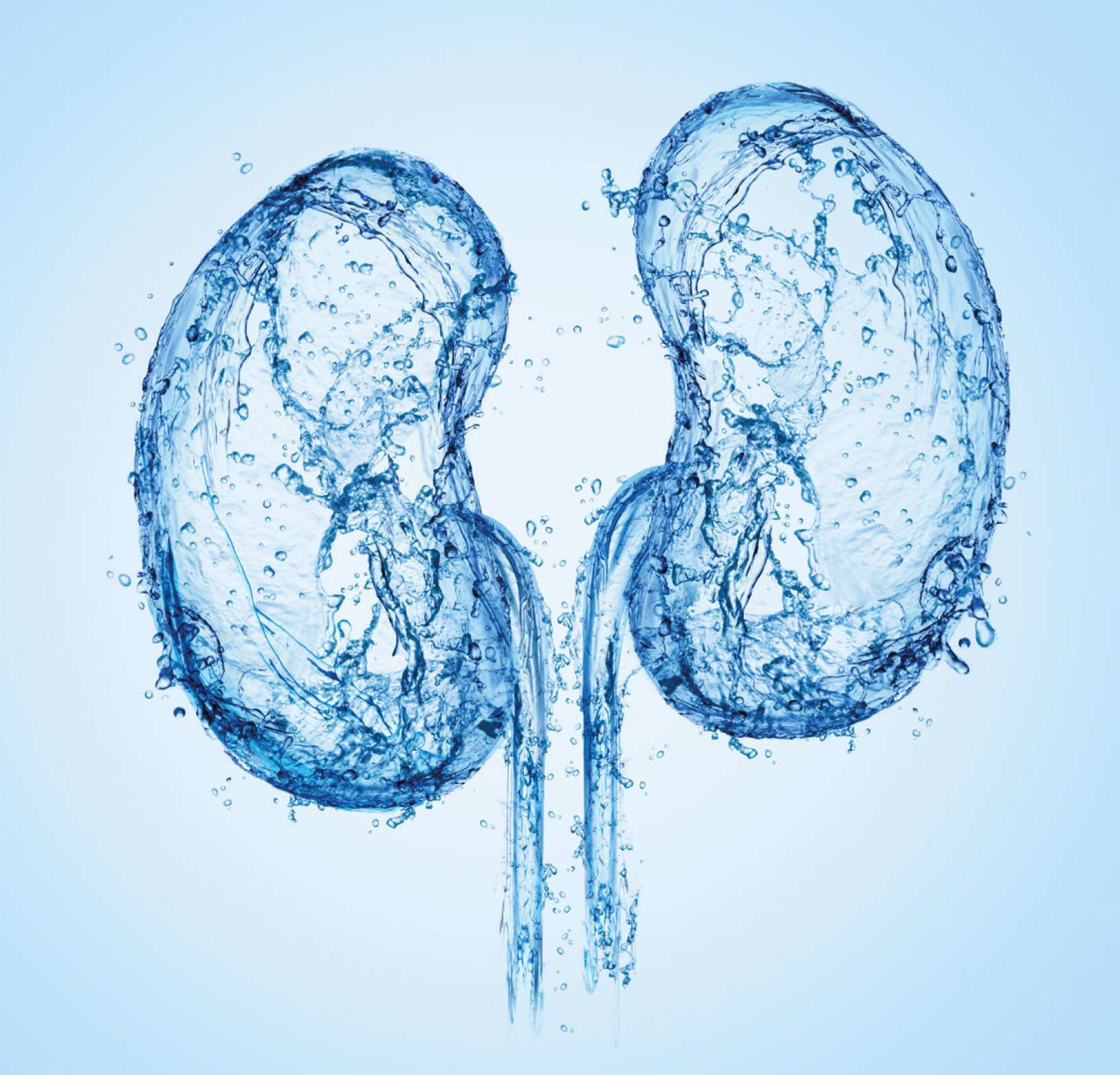 Böbrek Sağlığınızı Koruyun